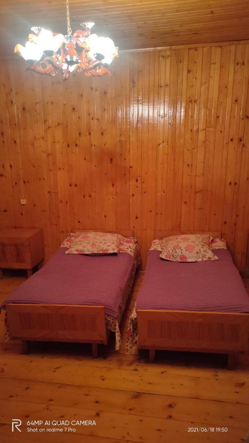Shaulini Hotel Kashveti Værelse billede