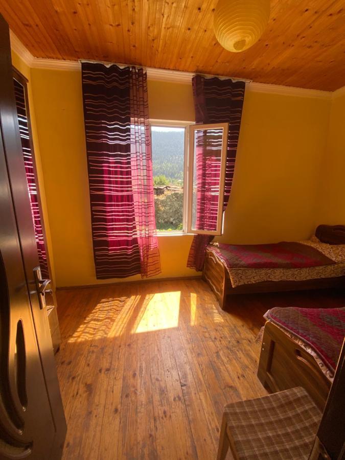 Shaulini Hotel Kashveti Eksteriør billede